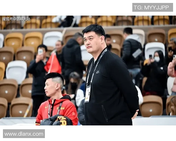 姚明遭遇不公对待的详细记录与背后故事揭秘