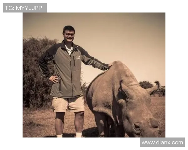 姚明携手话剧舞台展现篮球巨星的艺术魅力与人生哲学