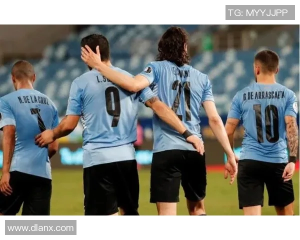 2010年乌拉圭足球明星的辉煌历程与传奇瞬间回顾